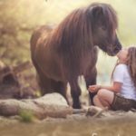 Iris Brosen Ausbildungs- & Lehrzentrum für pferdegestütztes Coaching