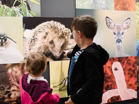 Kinder- und Familienführung im Ruhr Museum: Hund, Katze, Maus – Mensch und Tier im Revier